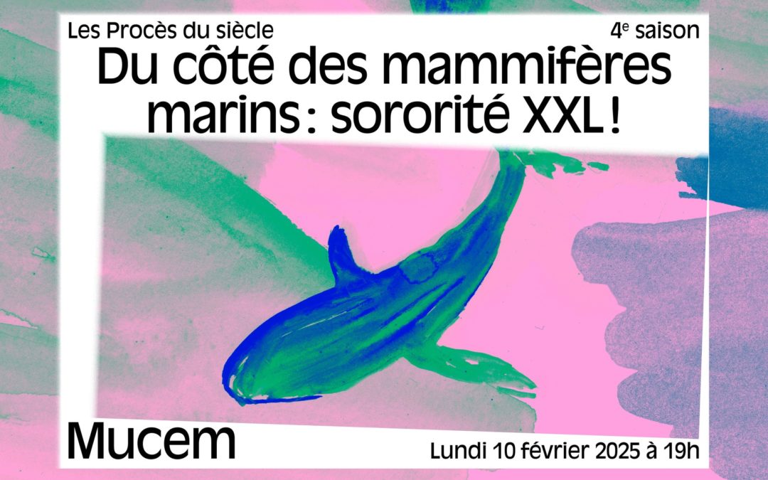 Du côté des mammifères marins : sororité XXL !