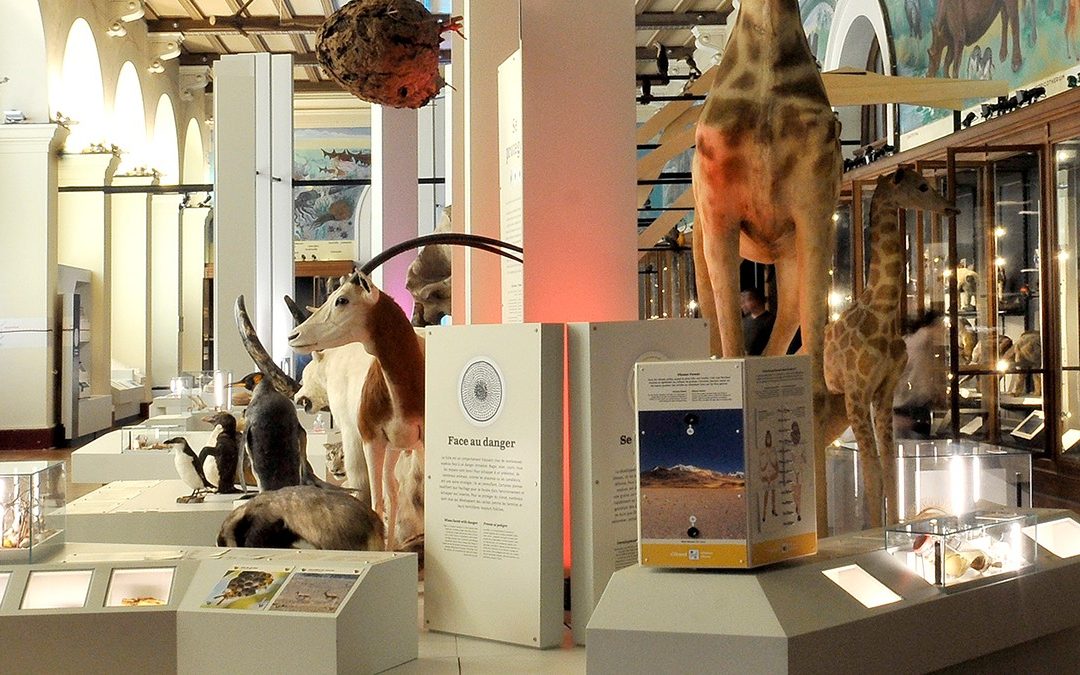 Seconde édition de la Nuit aux Musées