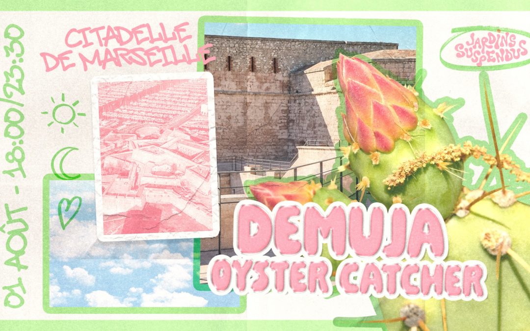 Demuja live à La Citadelle