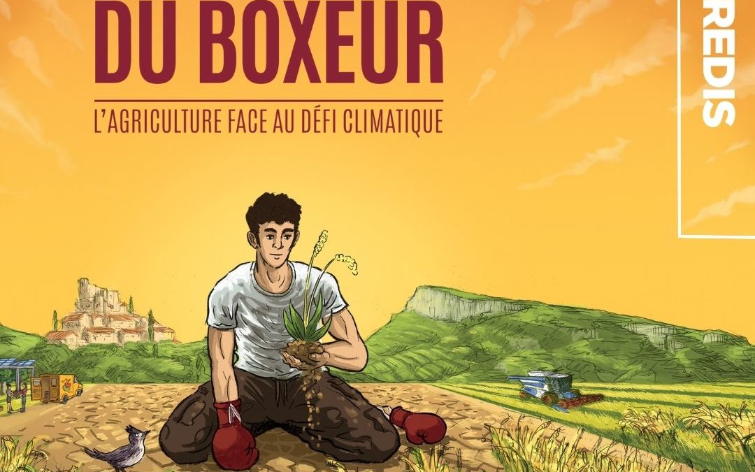 Projection du film « La théorie du boxeur »