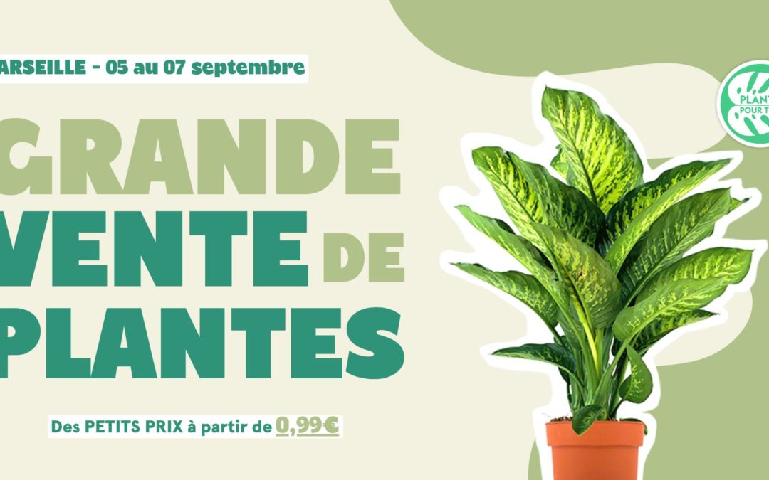 Grande vente de plantes