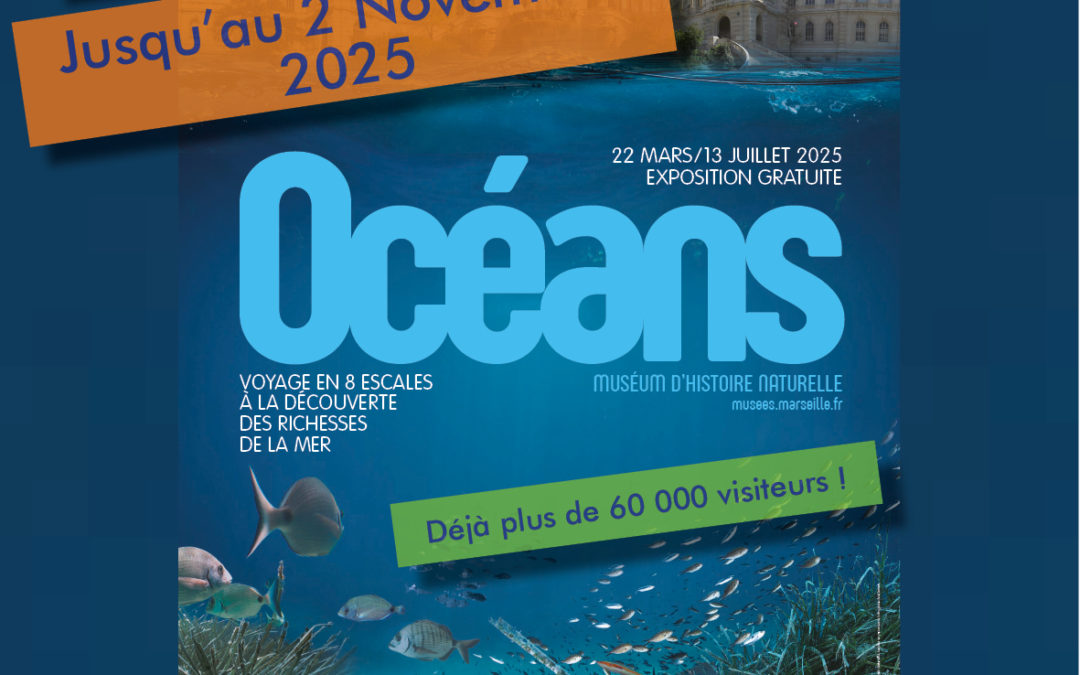 L&rsquo;Exposition Océans au Muséum d&rsquo;Histoire Naturelle