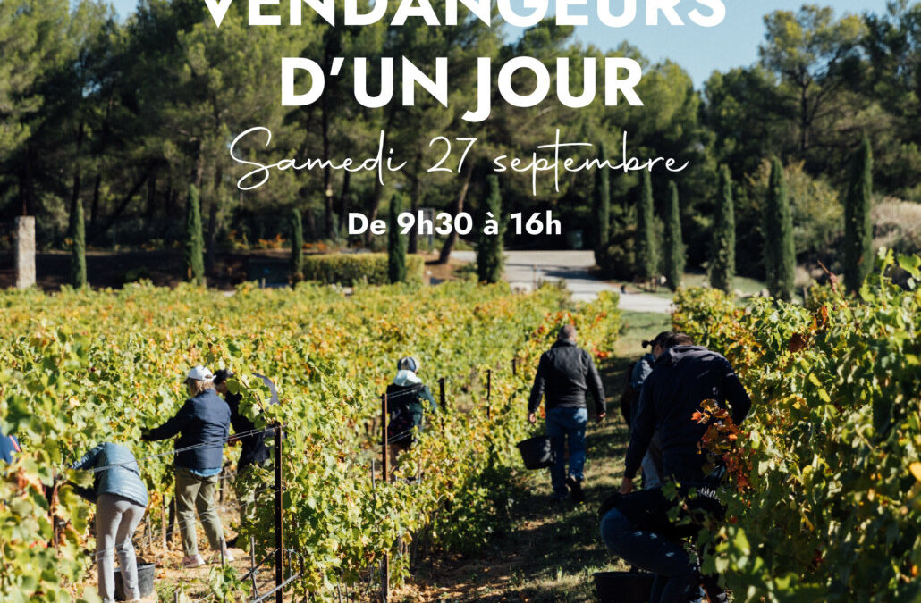 ATELIER VENDANGEURS D’UN JOUR
