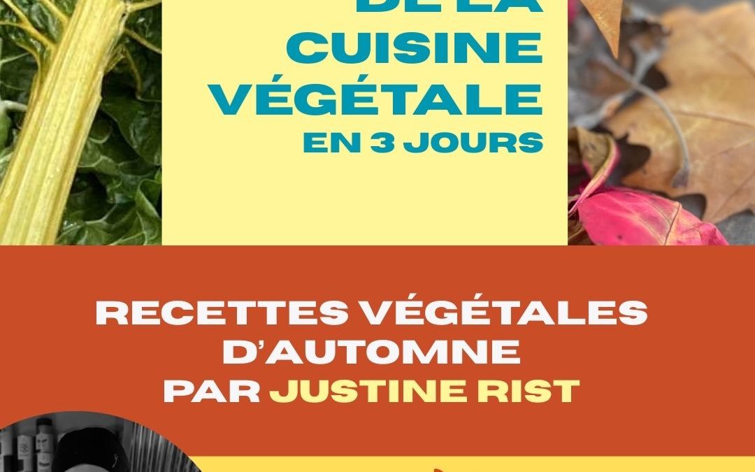 Stage : Les Bases de la cuisine végétale en 3 jours