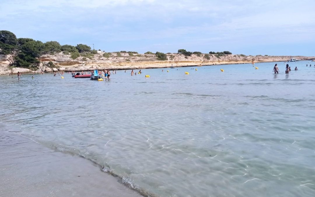 Bain du 11 Janvier plage de Carro : par ici la bonne soupe