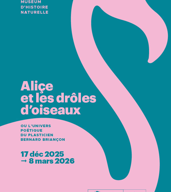 Alice et les drôles d&rsquo;oiseaux au Muséum d&rsquo;histoire naturelle !
