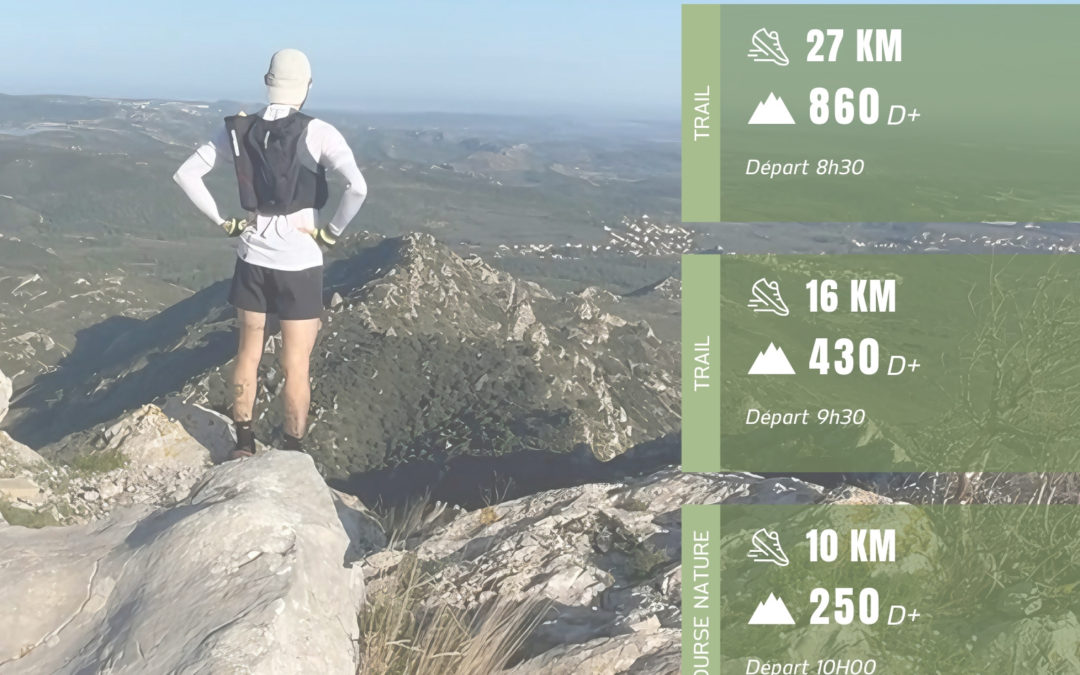 Un trail dans le massif des Alpilles : le trail de l&rsquo;or vert !