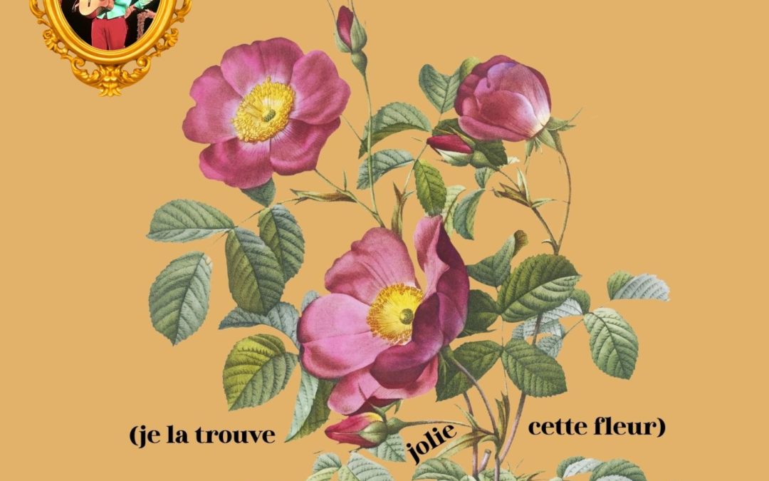 Duo en solo – Concert à 2 mais tout seul