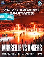 Hockey sur Glace : Spartiates contre Rouen le champion en titre de la ligue Magnus !