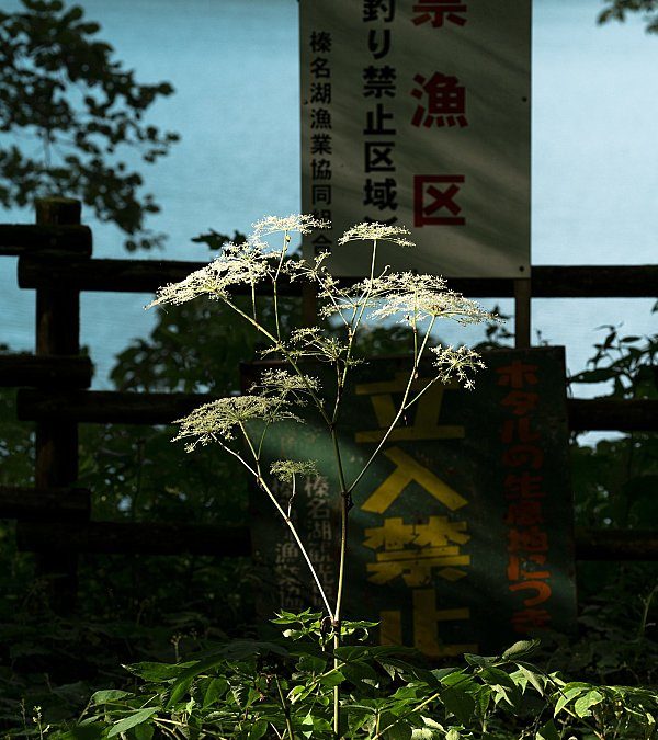 L’Écologie des relations au FRAC SUD