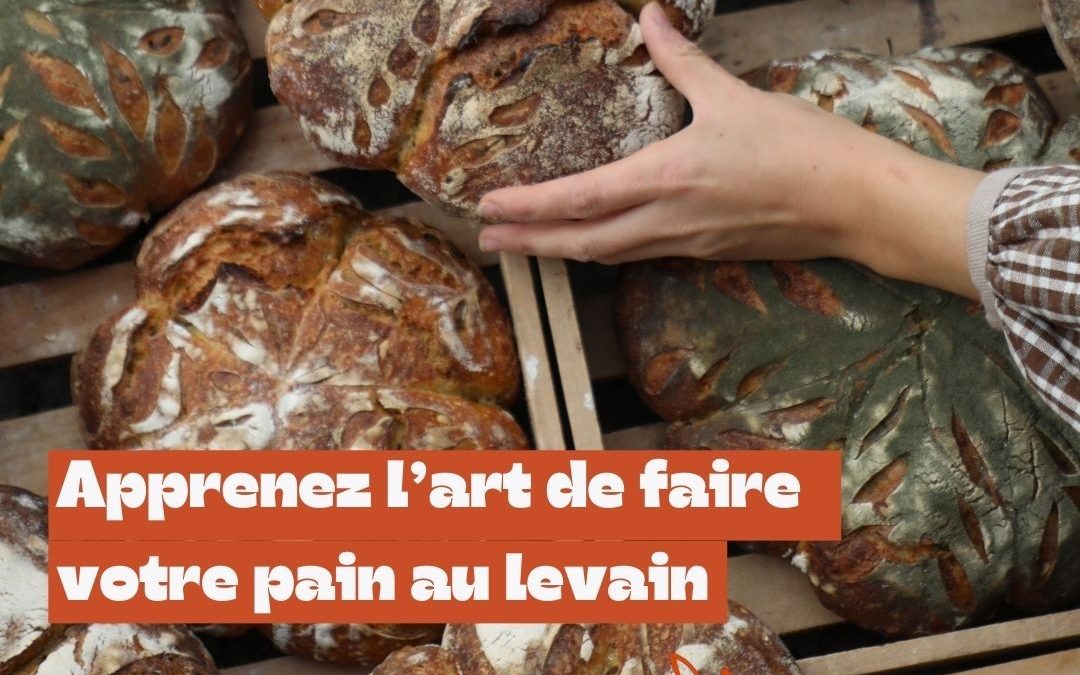 Stage pain au levain à Marseille
