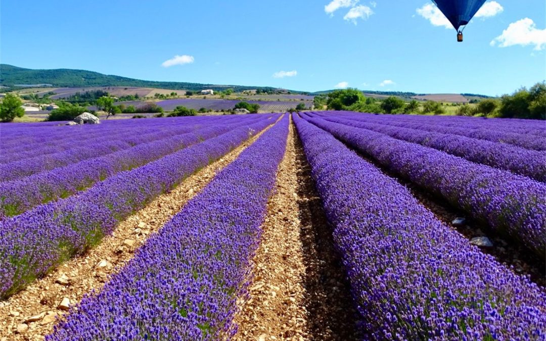 Vol en Montgolfière : La Provence vue du ciel !