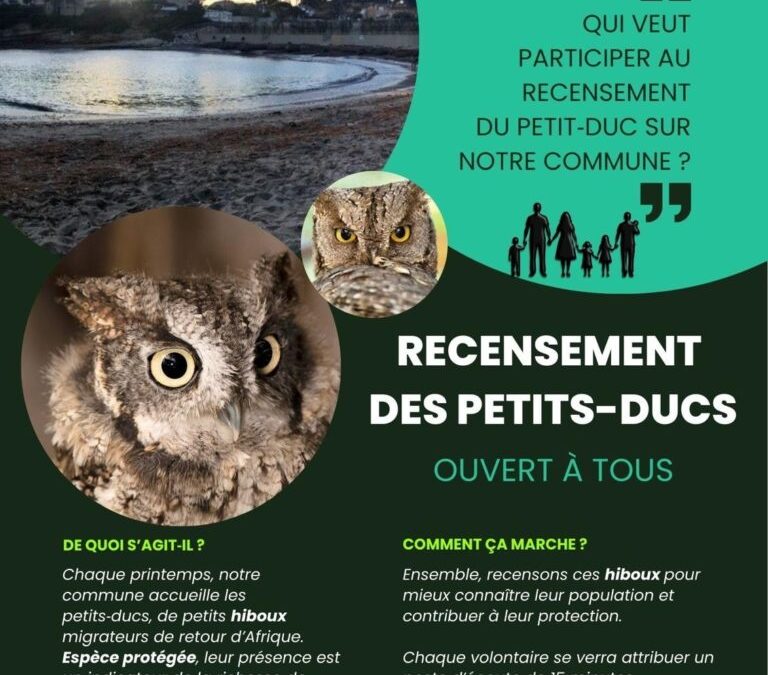 Un grand recensement des hiboux petits-ducs organisé à Carry-le-Rouet avec la Ligue de Protection des Oiseaux !
