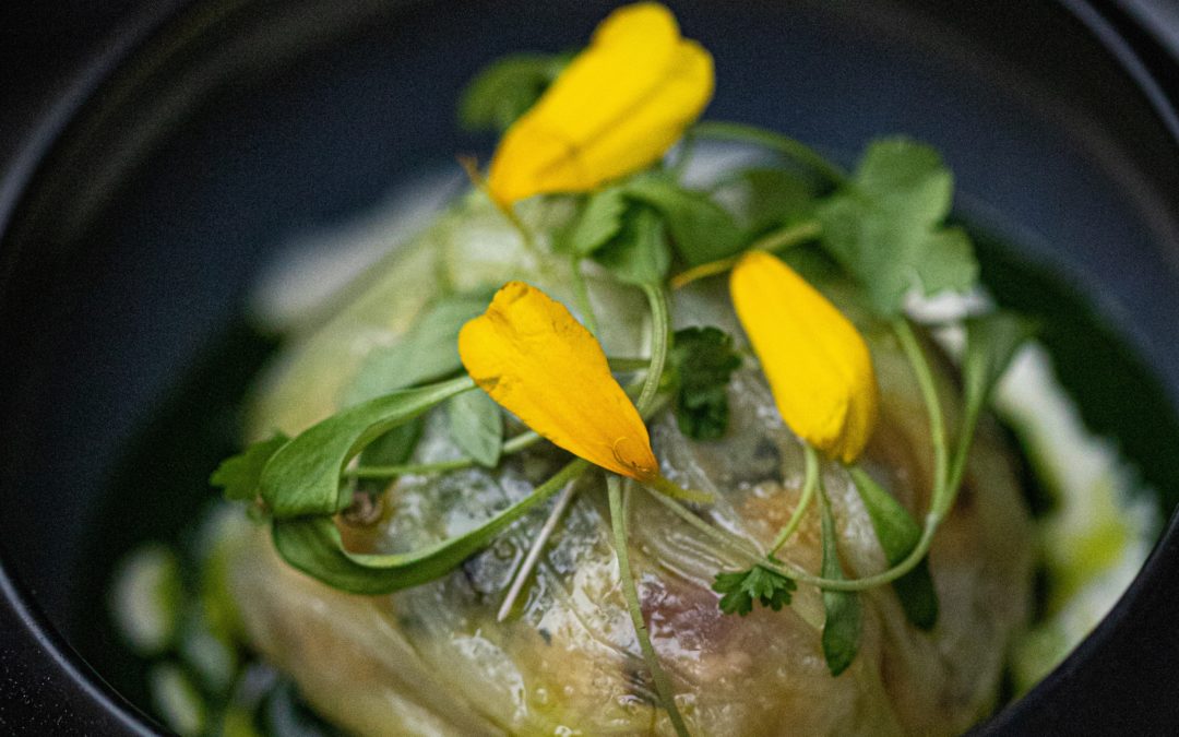 STAGE DE CUISINE VÉGÉTALE