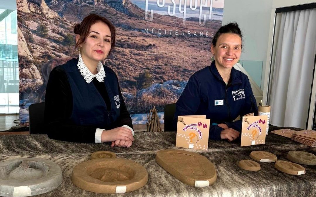 Animation « Piste-moi si tu peux » à Cosquer Méditerranée