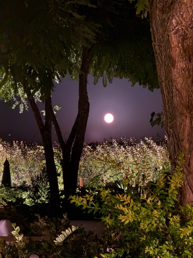 Que faire en Provence cette semaine ? (du 20 au 24 mai)