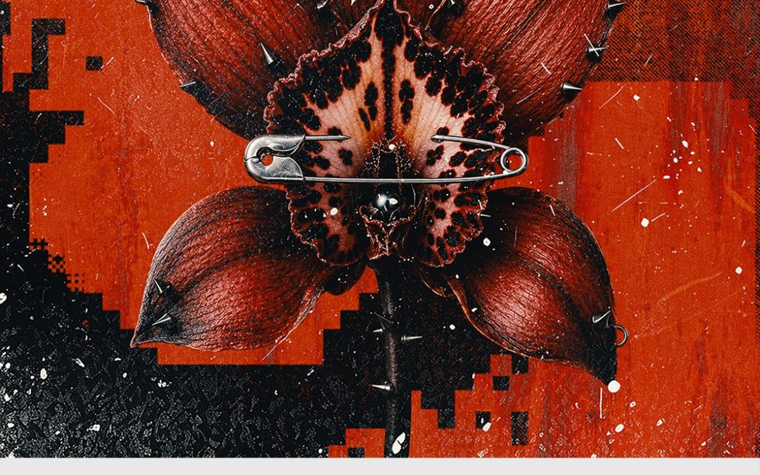 Brut / Anika Kunst, Fadezx & Mollo Mollo