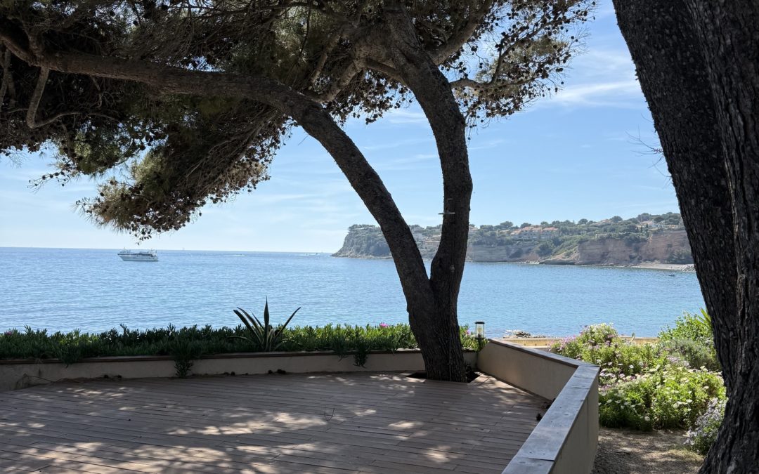 Que faire en Provence cette semaine ? (du 27 mai au 1er juin)