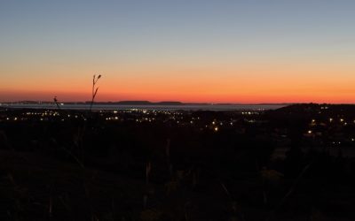 Que faire en Provence cette semaine ? (du 8 au 12 juillet)