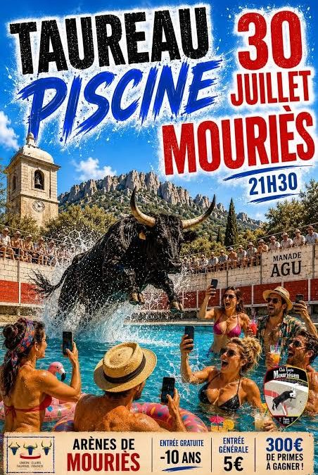 Taureau Piscine à Mouriès !