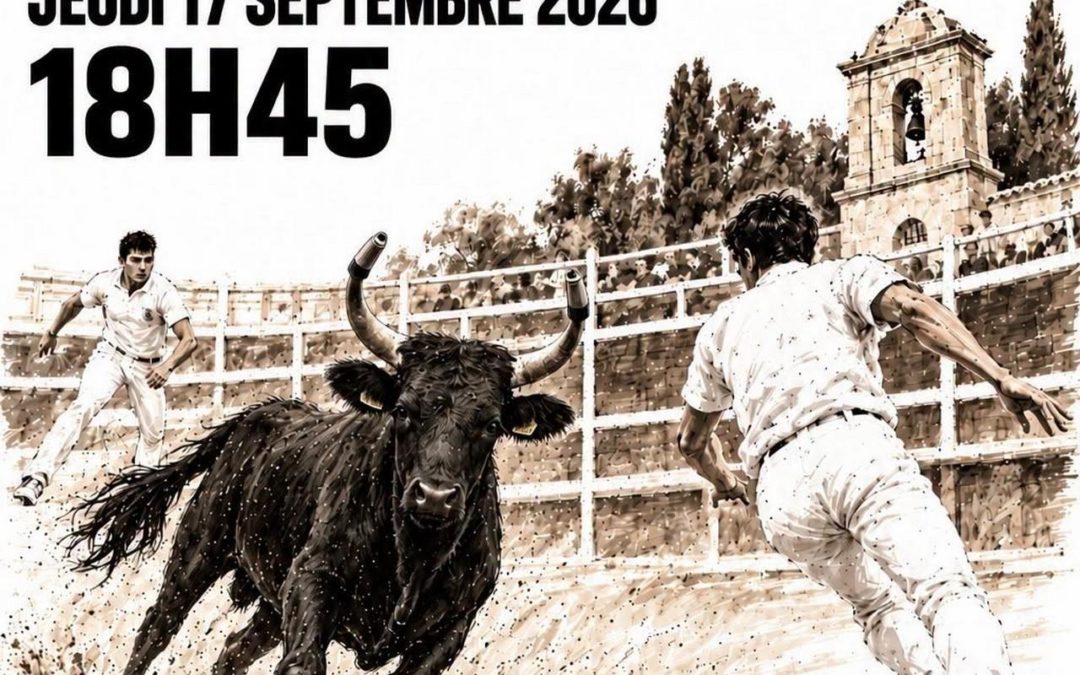 Course de taureaux emboulés à Mouriès