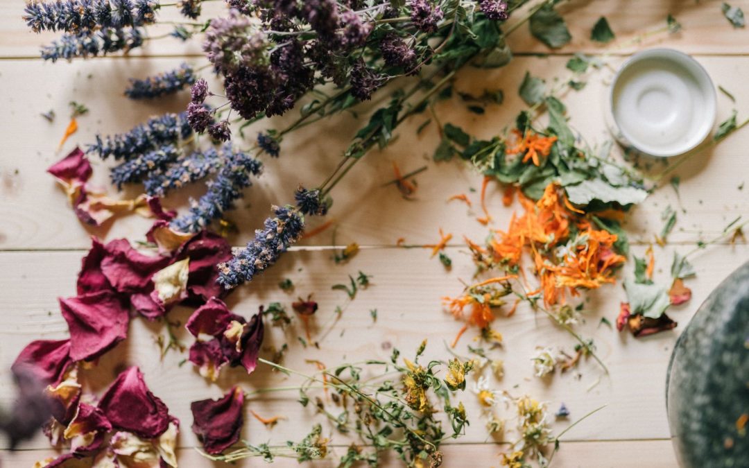 Atelier « Compose ta tisane » à Pélissane