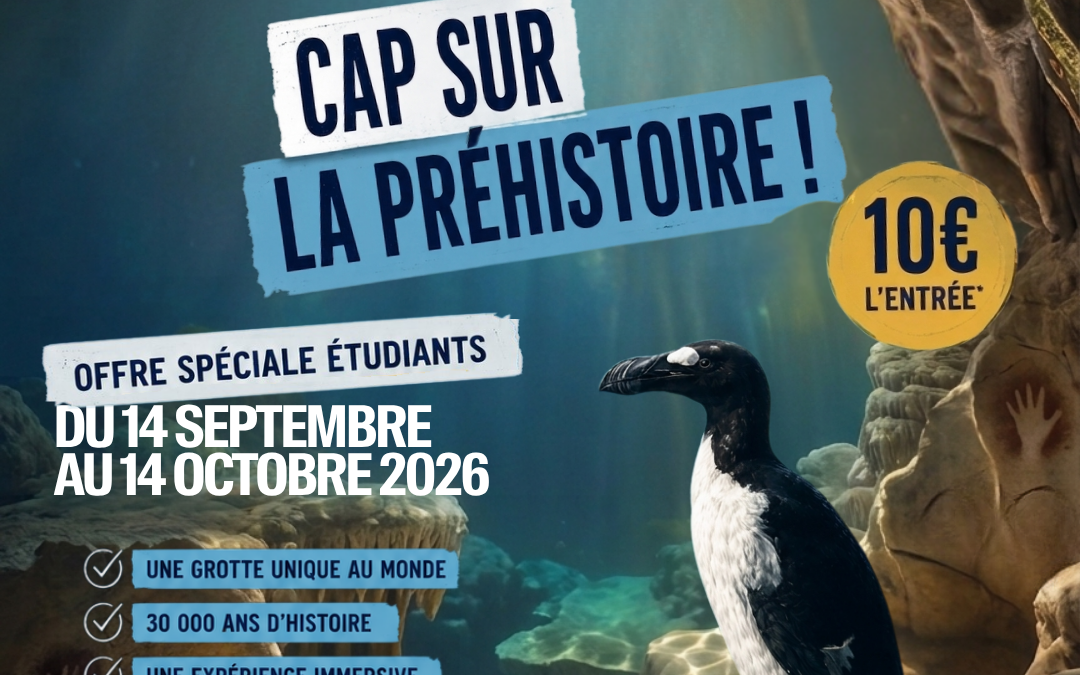 Bon Plan étudiant : Visiter la grotte Cosquer pour 10 € !
