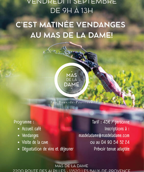 Faire une matinée de vendanges et découvrir le vin autour d&rsquo;un repas vigneron au Mas de la dame aux Baux !