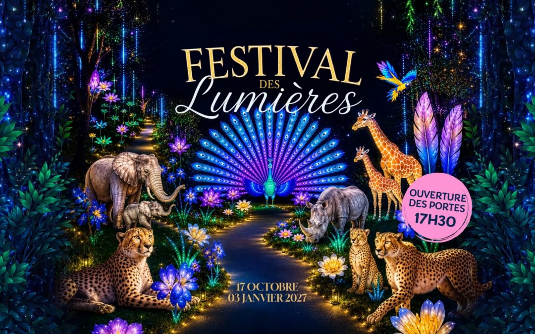 Le Festival des lumières à La Barben