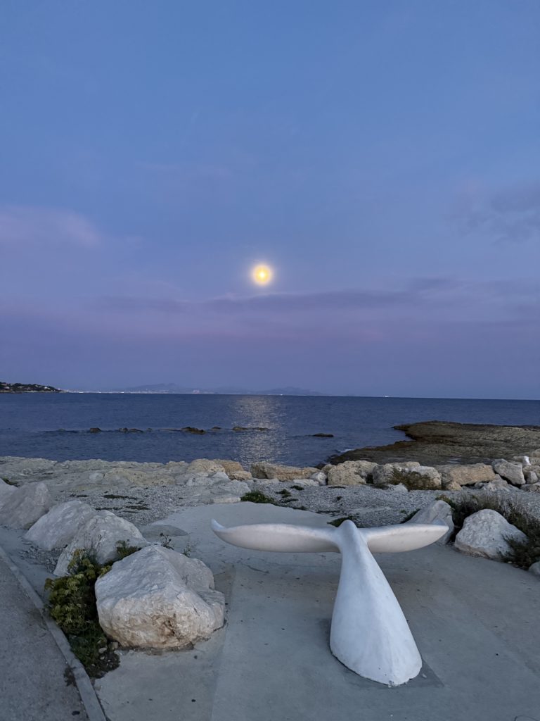 Que faire en Provence cette semaine ? (du 7 au 11 octobre)