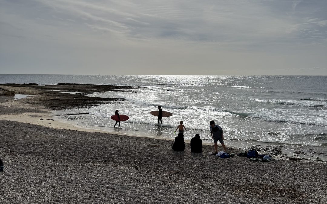 Que faire en Provence cette semaine ? (du 28 octobre au 1er novembre)