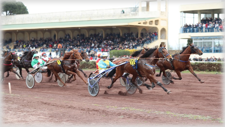 Hippodrome de Salon De Provence