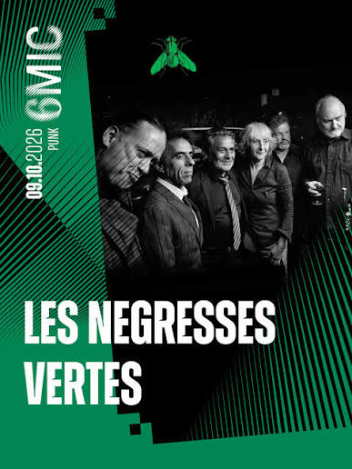 les Négresses vertes au 6Mic